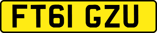 FT61GZU