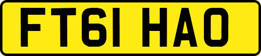 FT61HAO