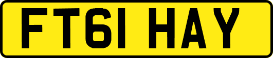 FT61HAY