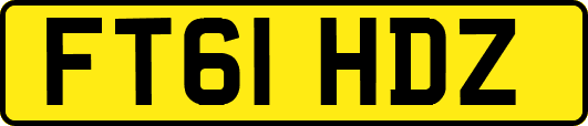 FT61HDZ