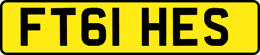 FT61HES