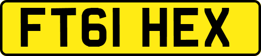 FT61HEX