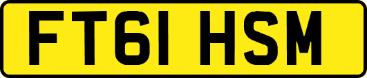 FT61HSM