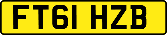 FT61HZB