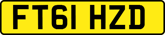 FT61HZD