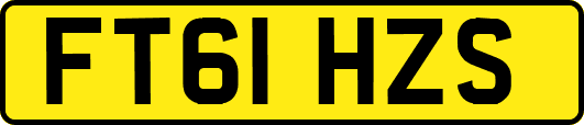FT61HZS