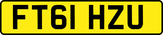 FT61HZU