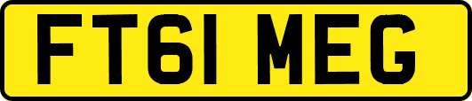 FT61MEG