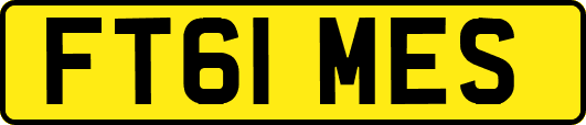 FT61MES