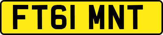FT61MNT