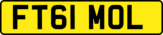 FT61MOL
