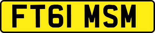 FT61MSM