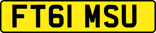 FT61MSU