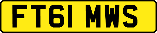 FT61MWS