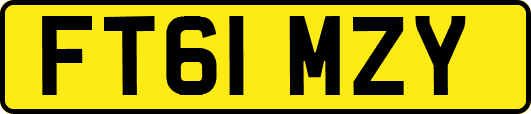 FT61MZY