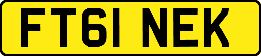 FT61NEK