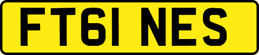 FT61NES