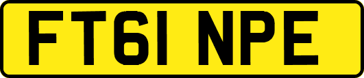 FT61NPE
