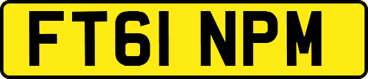 FT61NPM