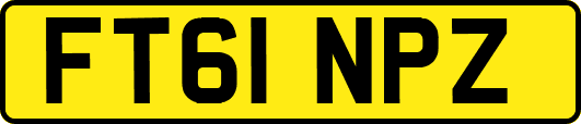FT61NPZ