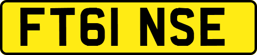 FT61NSE