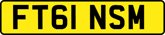 FT61NSM