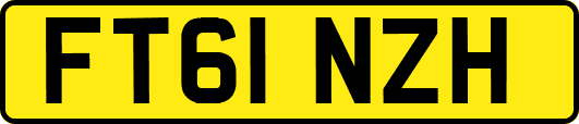 FT61NZH
