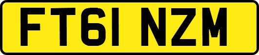 FT61NZM