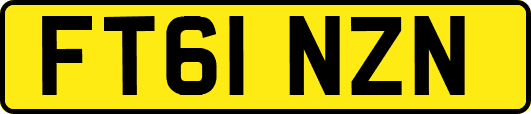 FT61NZN