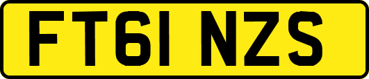 FT61NZS