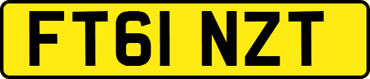 FT61NZT