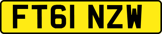 FT61NZW