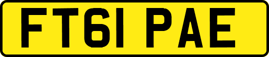 FT61PAE