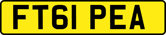 FT61PEA
