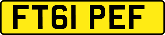 FT61PEF