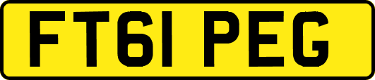FT61PEG