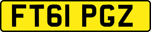 FT61PGZ