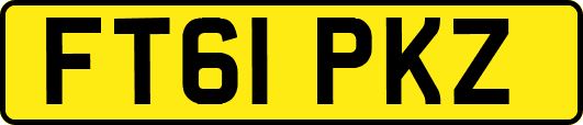 FT61PKZ