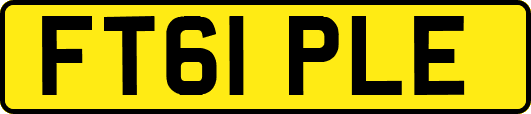 FT61PLE