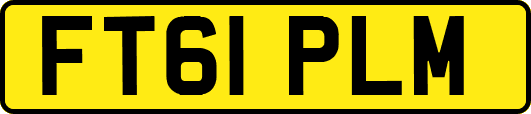 FT61PLM