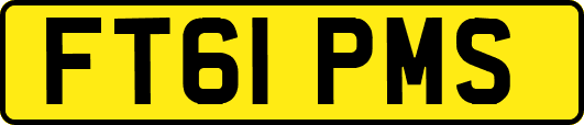 FT61PMS