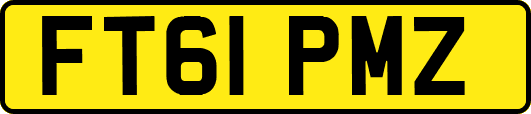 FT61PMZ