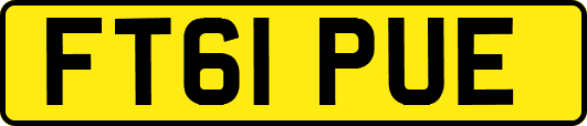 FT61PUE