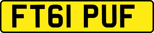 FT61PUF