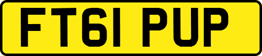 FT61PUP