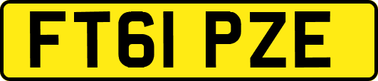 FT61PZE