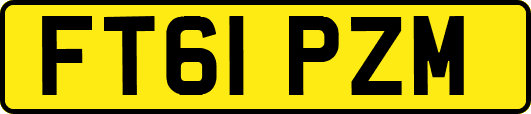 FT61PZM