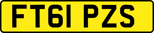FT61PZS