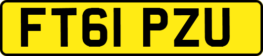 FT61PZU