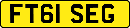 FT61SEG